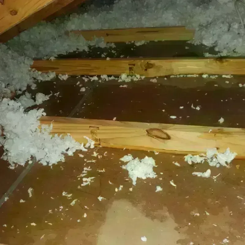 Attic Water Damage in Anahuac, TX